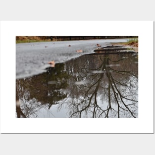 Mud Puddle Reflection Posters and Art